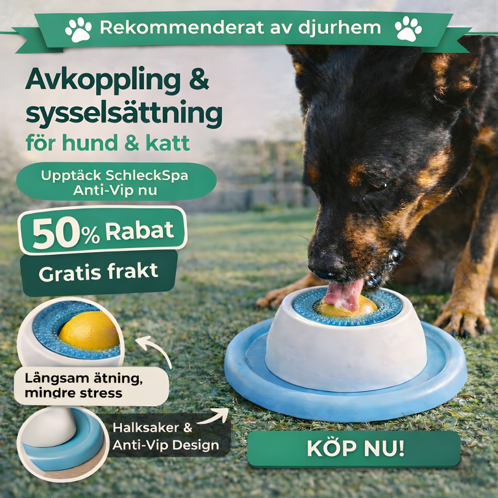 CalmNibble™ – Halkfri Slow Feeder Slickskål & Bollmatare för Hundar & Katter
