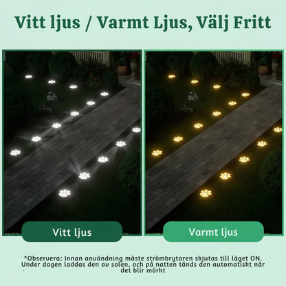 GlowPaws™ – Soldrivna Utomhus Tass Stig Lampor
