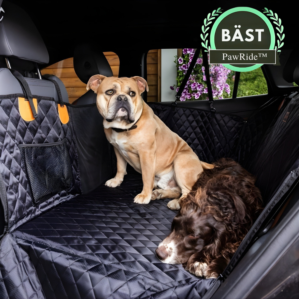 PawRide™ – Husdjurs Bil Lounge Baksätesförlängare