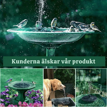 AquaBloom™ – Stilren Solcellsdriven Flytande Vattenfontänpump