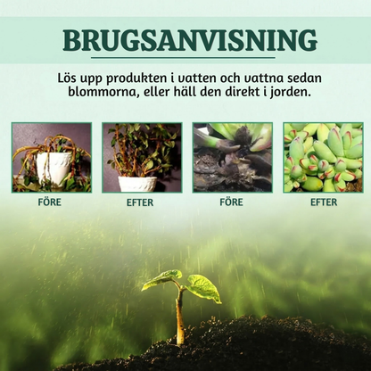 VitaRoot™ – Avancerad Flytande Växttillväxtlösning