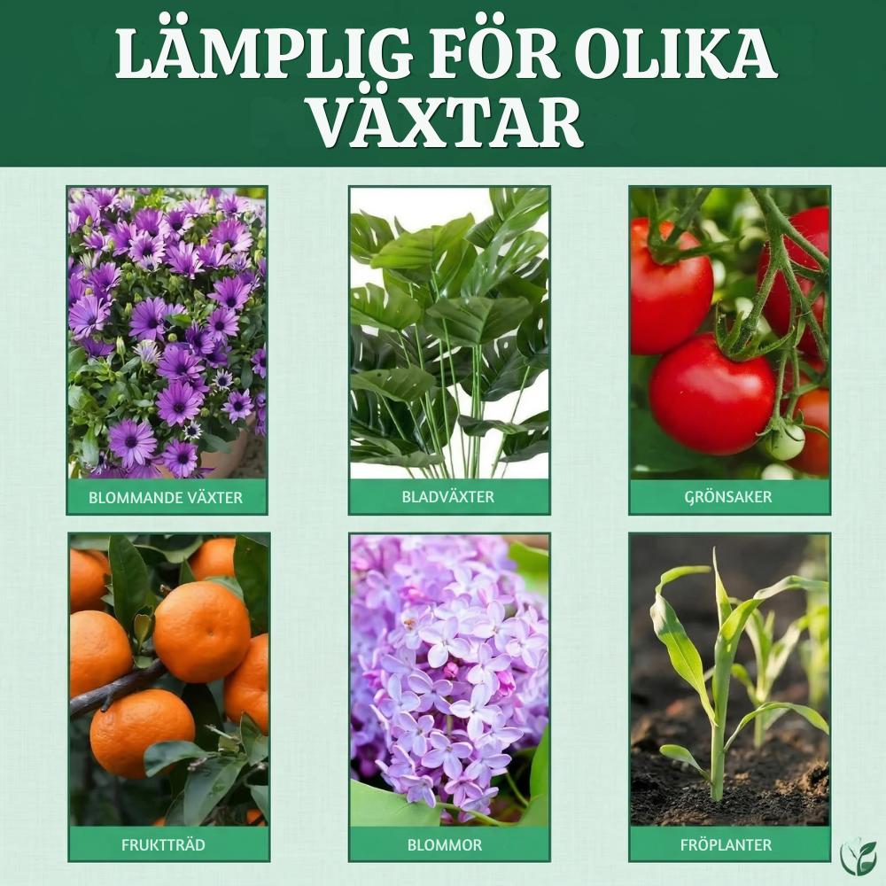 VitaRoot™ – Avancerad Flytande Växttillväxtlösning