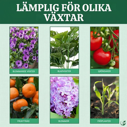 VitaRoot™ – Avancerad Flytande Växttillväxtlösning