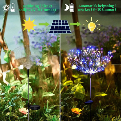 StarBurst™ – Soldrivna Dekorativa LED Fyrverkerilampor