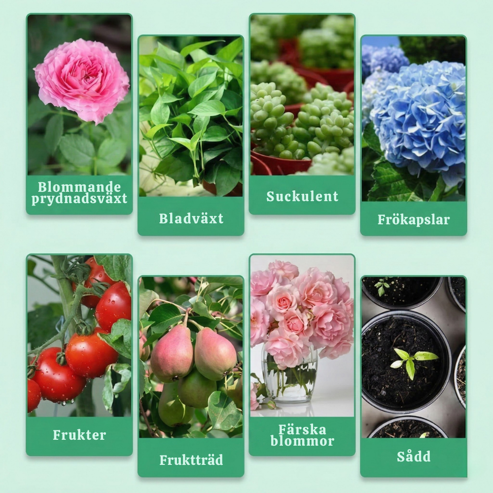 VitaRoot™ – Avancerad Flytande Växttillväxtlösning