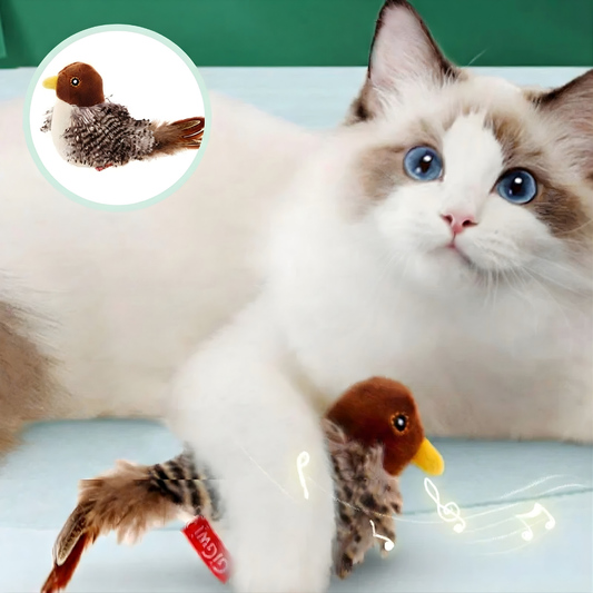 Catfri™ – Interaktivt Kvittrande Fågel Leksak