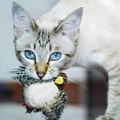 Catfri™ – Interaktivt Kvittrande Fågel Leksak