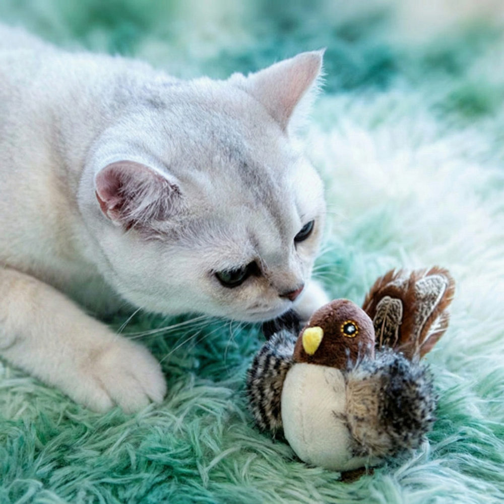 Catfri™ – Interaktivt Kvittrande Fågel Leksak