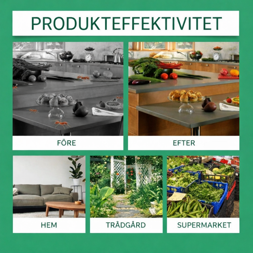 AntLure™ – Långvarigt Kit För Bekämpning Av Myror Med Flytande Bete