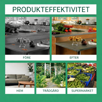 AntLure™ – Långvarigt Kit För Bekämpning Av Myror Med Flytande Bete
