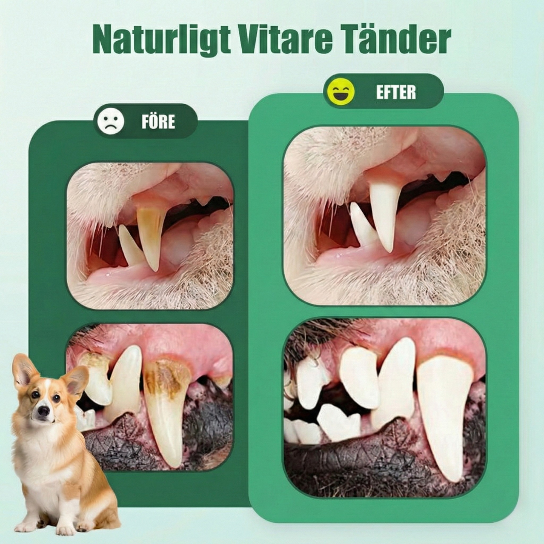 PawSmile™ – Skonsam Tandåterställande & Andefräschar Gelpenna för Husdjur