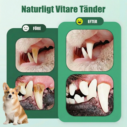 PawSmile™ – Skonsam Tandåterställande & Andefräschar Gelpenna för Husdjur