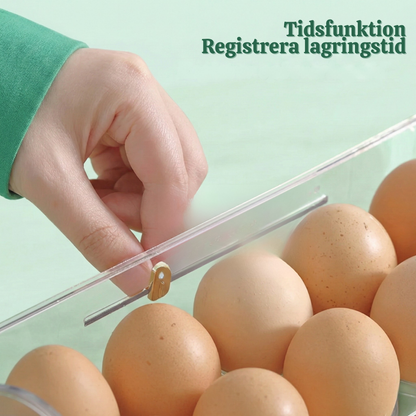 FreshNest™ – Flerskikts Självdispenserande Äggförvarings Organizer
