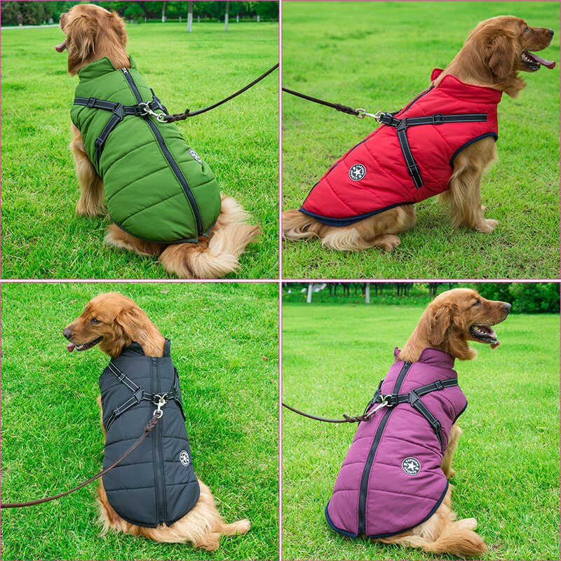 PawDry™ – Justerbar Vind- och Vattentät Hundjacka